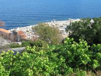 Friedhof von St. Tropez