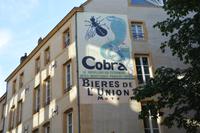 Werbung für Insektenvernichtung und Bier