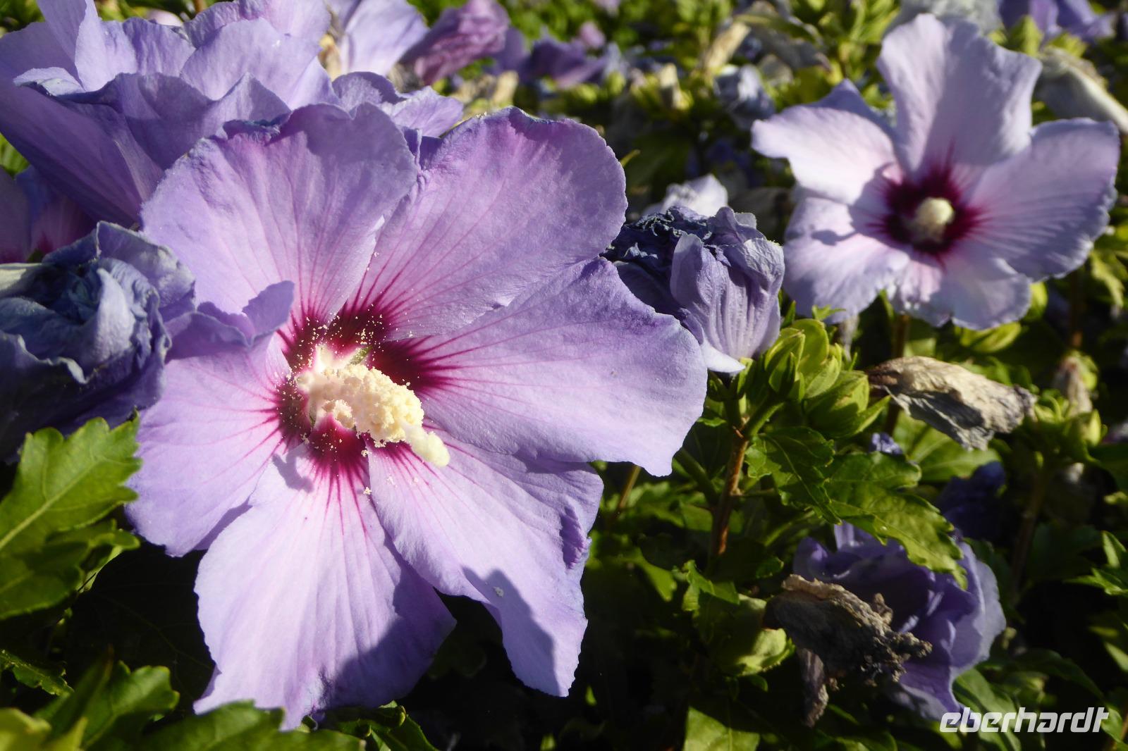 Tag 1 Anreise nach Reims 