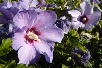 Tag 1 Anreise nach Reims 