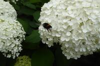 Tag 2 Garten von Viels Maison 