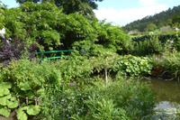 Tag 3 Giverny, Garten von Monet 