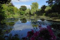 Tag 3 Giverny, Garten von Monet 