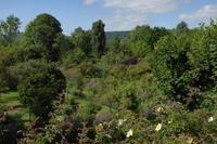 Tag 3 Giverny, Garten von Monet 