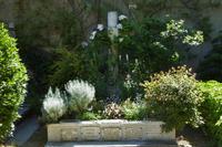 Tag 3 Giverny, Garten von Monet 