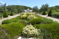 Tag 3 St. Martin de Boscherville 