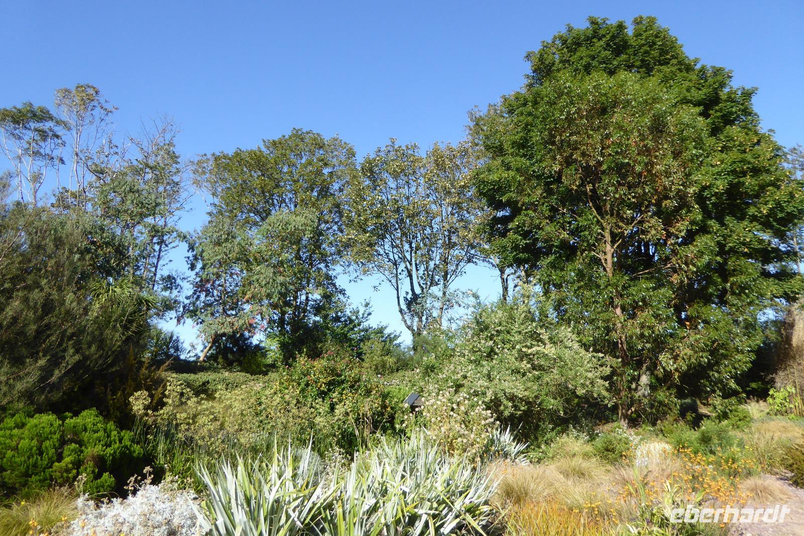 Tag 4 Le Havre, Jardin Suspendus 