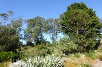 Tag 4 Le Havre, Jardin Suspendus 