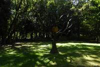 Tag 5 Chateau du Breuil, Calvados