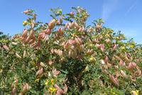 Tag 5 Strand von Deauville, 