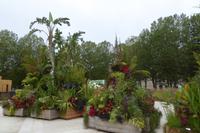 Tag 6 Caen Stadtgrün und Streetart 