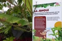 Tag 6 Caen Stadtgrün 