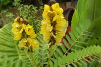 Tag 6 Caen Stadtgrün, Senna 