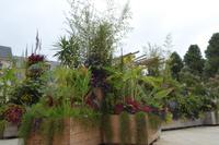 Tag 6 Caen Stadtgrün 