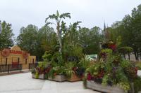 Tag 6 Caen Stadtgrün 