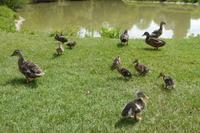 Tag 6 Caen, Parc Floral 