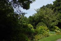 Tag 6 Caen, Parc Floral 