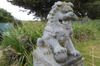 Tag 8 Botanischer Garten Vauville 