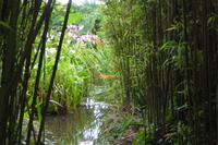 Tag 8 Botanischer Garten Vauville 