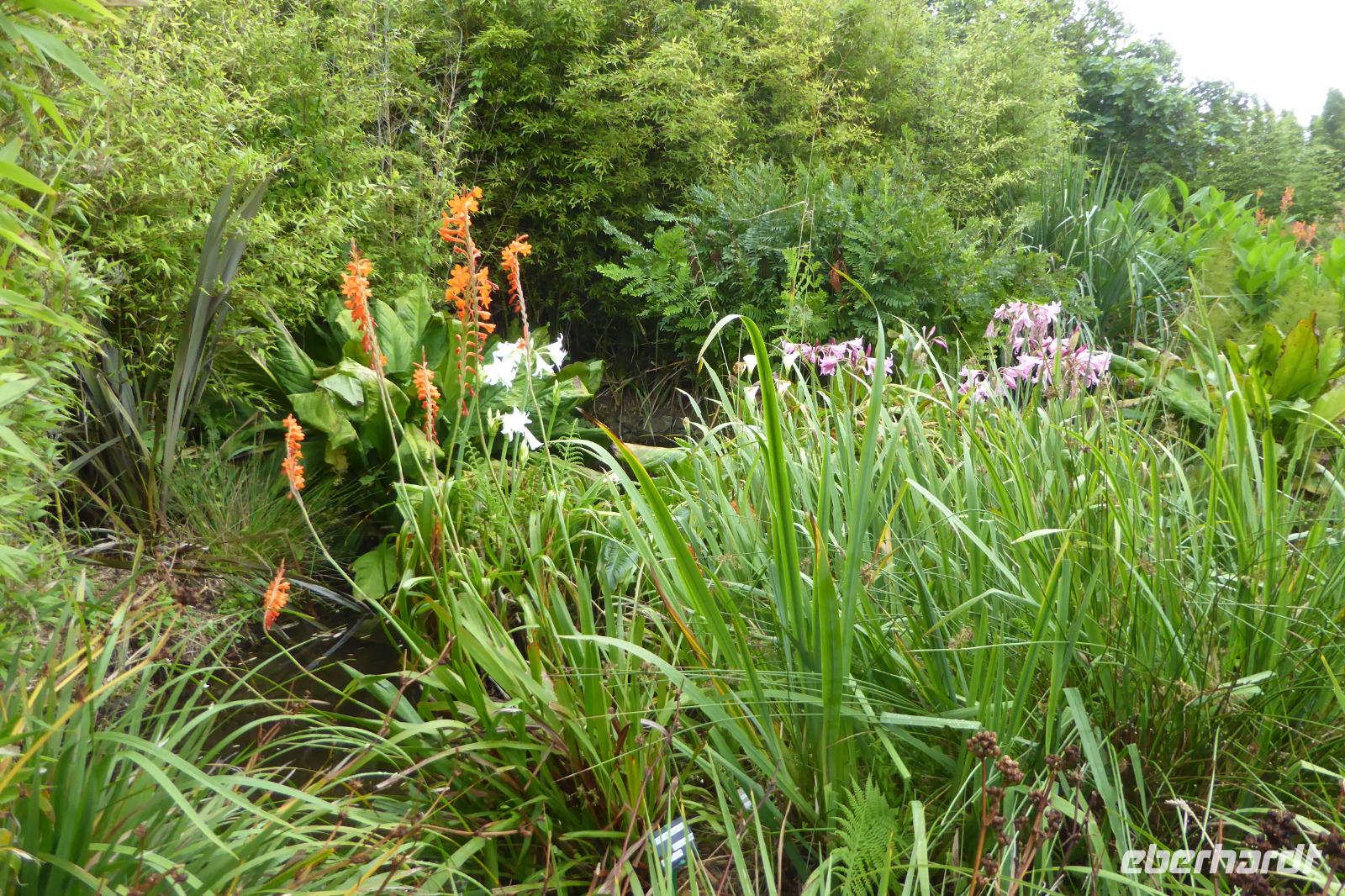 Tag 8 Botanischer Garten Vauville 