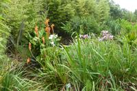 Tag 8 Botanischer Garten Vauville 