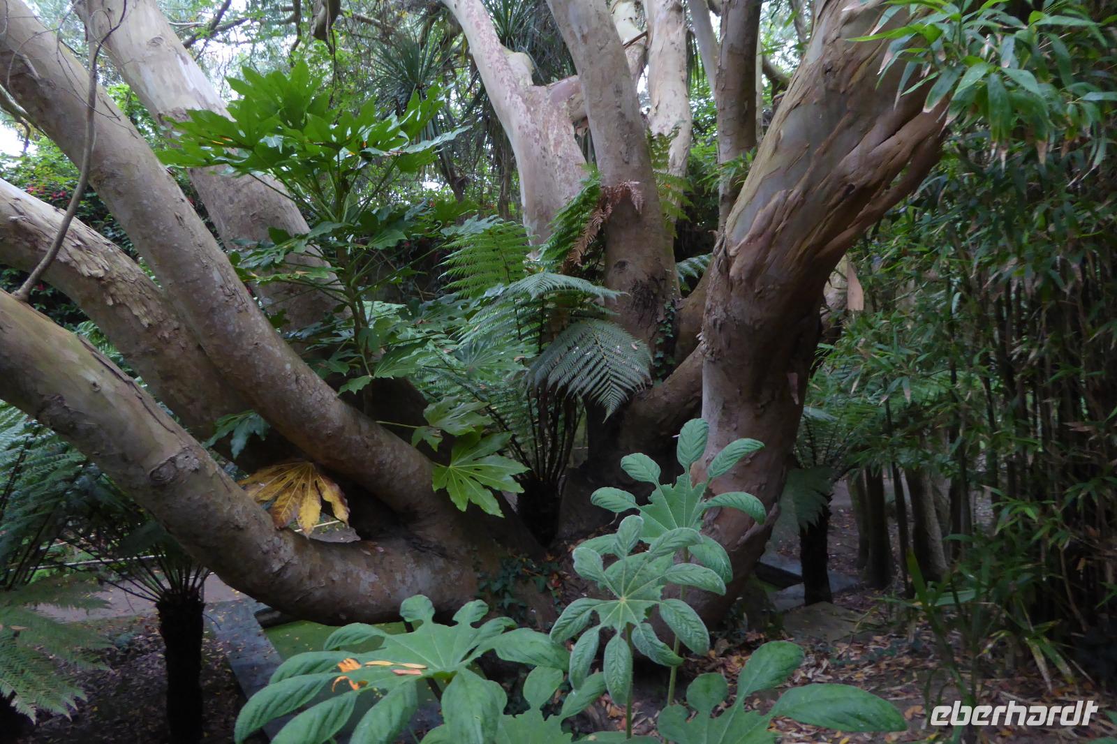 Tag 8 Botanischer Garten Vauville 