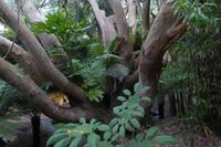 Tag 8 Botanischer Garten Vauville 