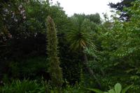 Tag 8 Botanischer Garten Vauville 