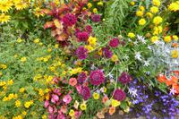 Tag 8 Garten von Coutance 