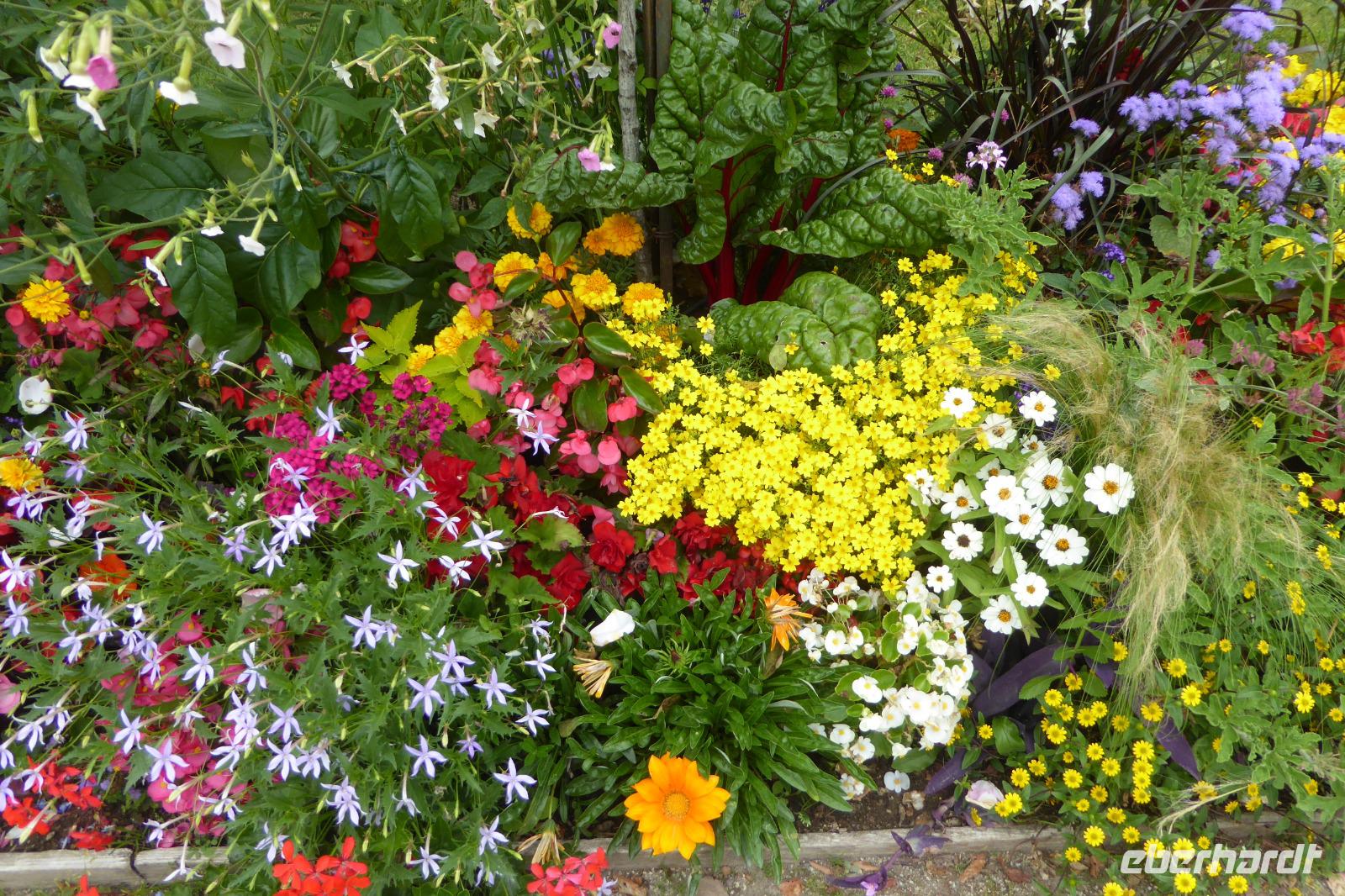 Tag 8 Garten von Coutance 