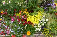 Tag 8 Garten von Coutance 