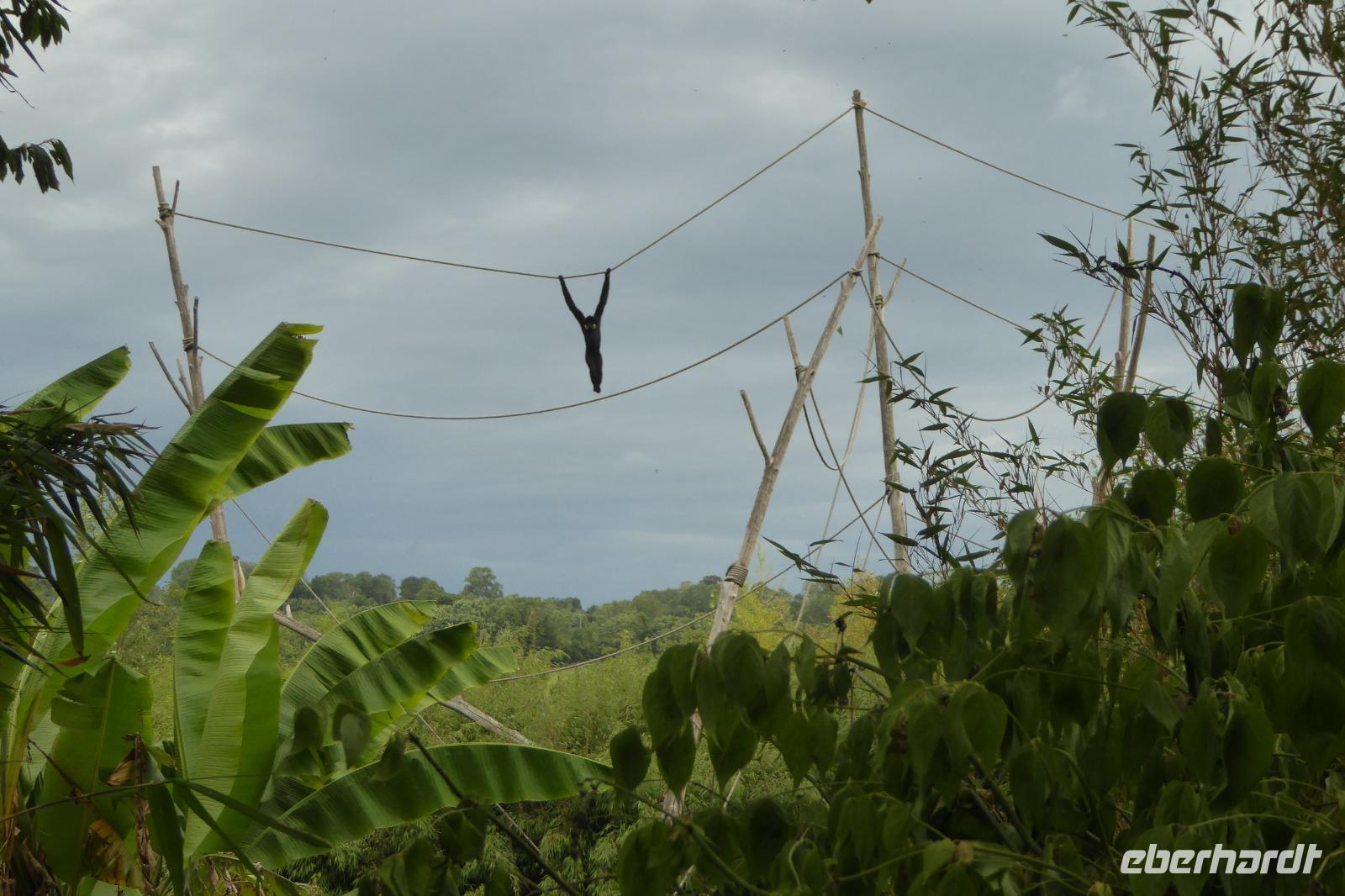 Tag 8 Zoo von Champrépus 