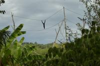 Tag 8 Zoo von Champrépus 