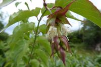 Tag 8 Zoo von Champrépus 