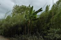 Tag 8 Zoo von Champrépus 