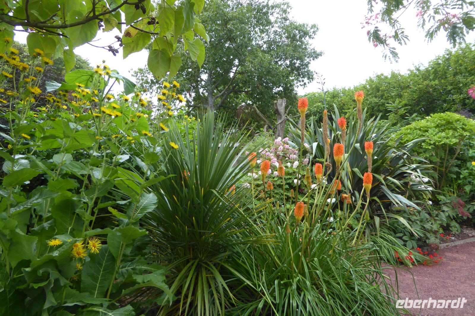 Tag 8 Zoo von Champrépus 