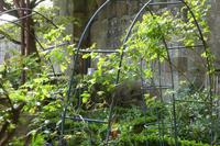 Tag 9 Am Mont St. Michel