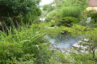 Tag 9 Garten Francois