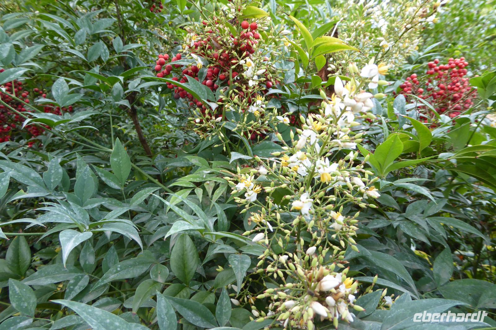 Tag 9 Garten Francois 