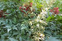 Tag 9 Garten Francois 