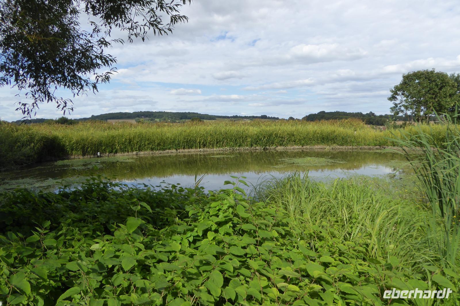 Tag 9 Garten Francois