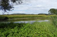 Tag 9 Garten Francois