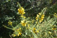 Tag 3 Im Wald von Broceliande 