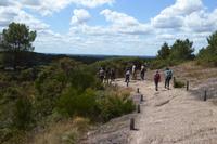 Tag 3 Im Wald von Broceliande 