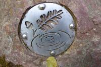 Tag 3 Im Wald von Broceliande 