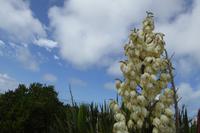 Tag 5 Cornouaille Küste 