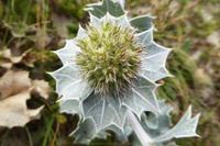 Tag 5 Cornouaille Küste 