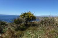 Tag 6 Wanderung zur Pointe du Raz 