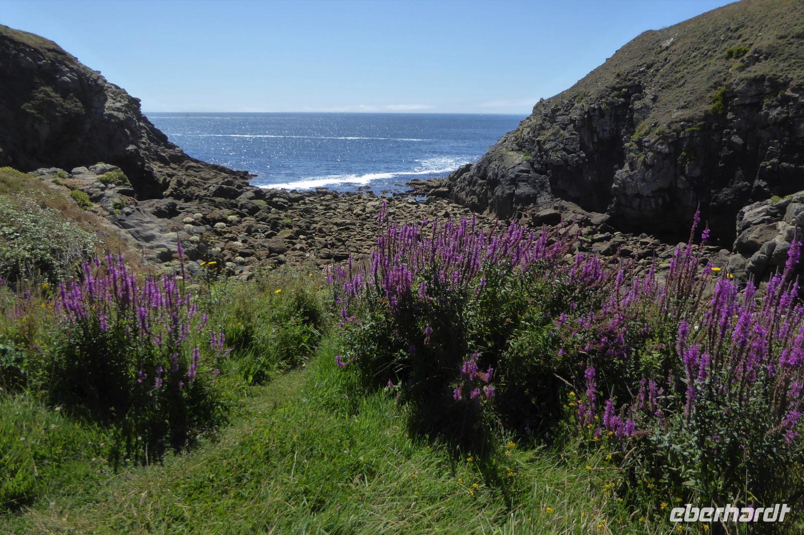 Tag 6 Wanderung zur Pointe du Raz 