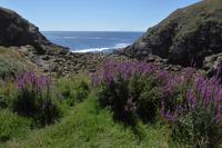 Tag 6 Wanderung zur Pointe du Raz 